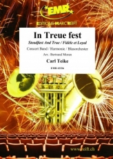 In Treue fest